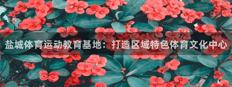 vsport体育官网下载招商电话是多少：盐城体育运动