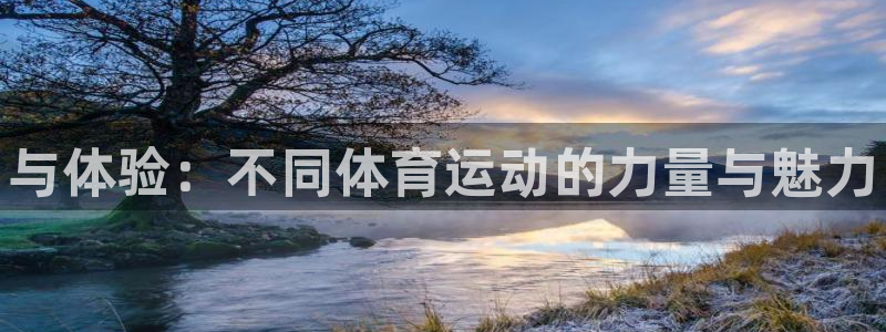 vsport体育官网下载招商：与体验：不同体育运动的