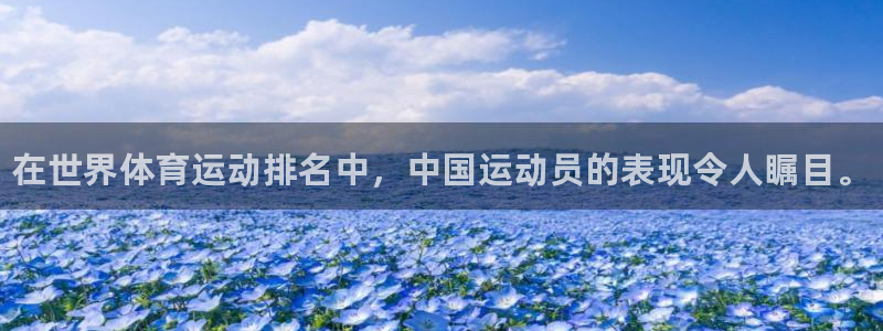 vsport体育官方正版app集团logo：在世界体