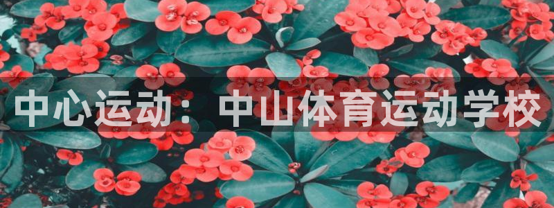 vsport体育官网下载平台注册：中心运动：中山体育运动学校