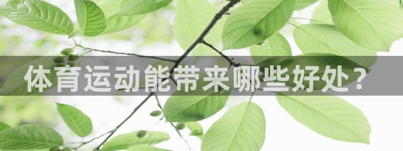vsport体育官方正版app开户