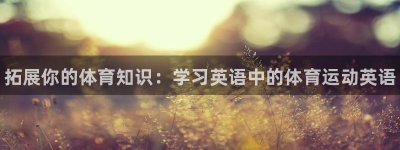 vsport体育官方正版app集团官网网址：拓展你的体育知识