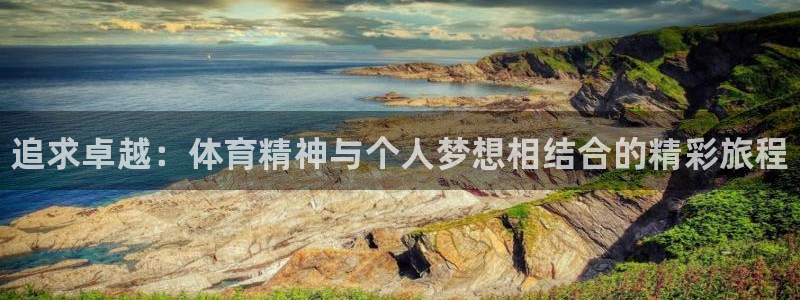 vsport体育官网下载官方客服电话：追求卓越：体育