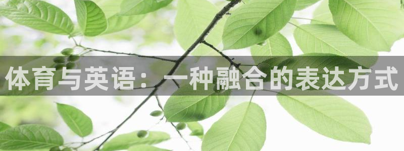 vsport体育官方正版app娱乐是那个系列的台子：