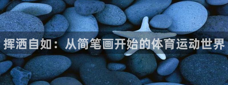 vsport体育官网下载平台APP：挥洒自如：从简笔