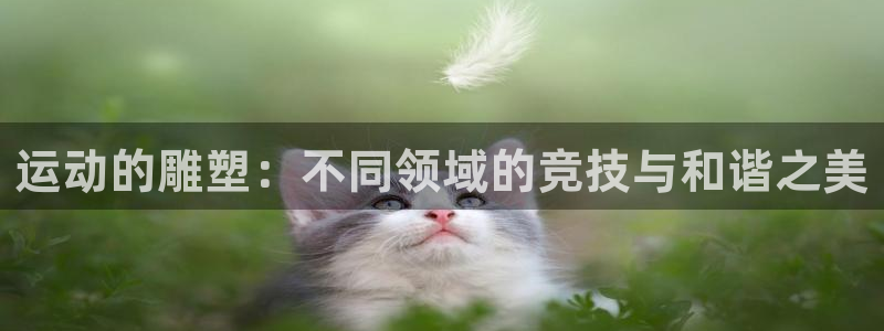 vsport体育官网下载招商电话号码：运动的雕塑：不同领域的