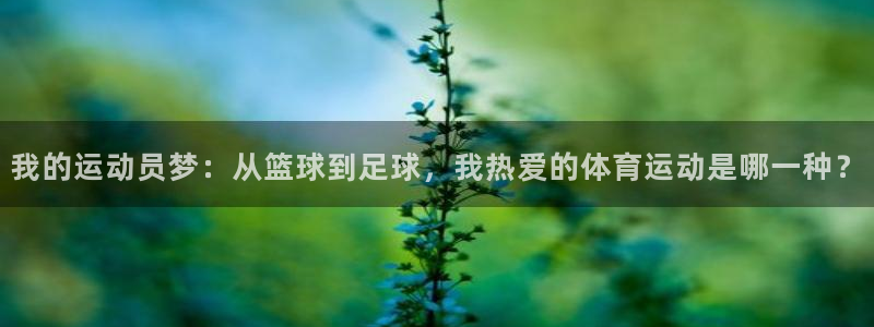 vsport体育官网下载招商电话号码查询是多少：我的运动员梦