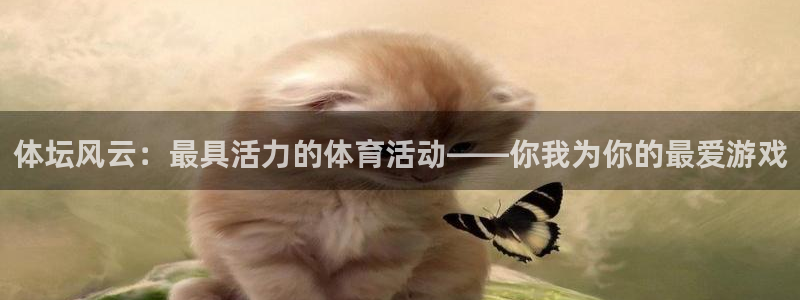vsport体育官网下载开户：体坛风云：最具活力的体育活动—
