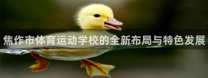 海南vsport体育官网下载发展怎么样：焦作市体育运