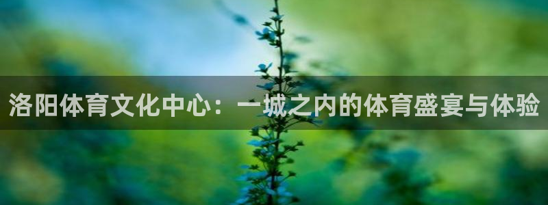 vsport体育官网下载：洛阳体育文化中心：一城之内的体育盛