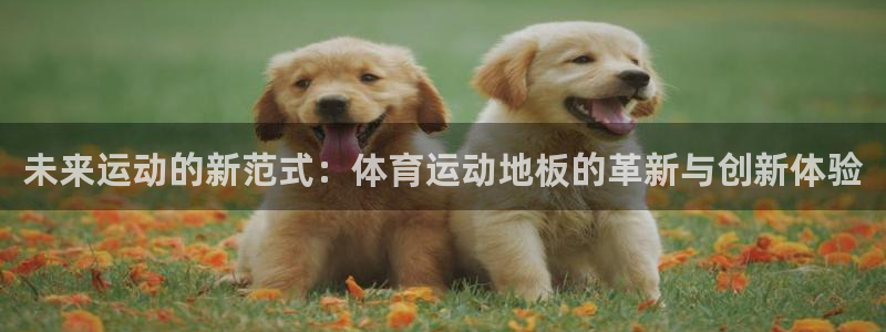 vsport体育官方正版app集团官网网址