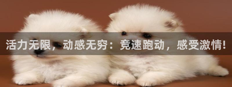 vsport体育官方正版app集团logo：活力无限，动感无