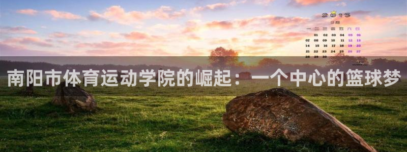 vsport体育官方正版app集团简介：南阳市体育运