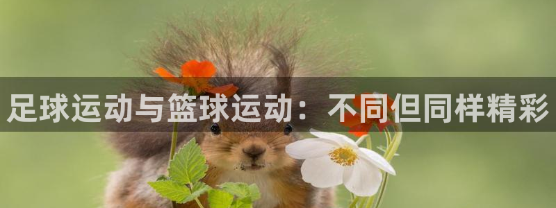 vsport体育官方正版app娱乐代理怎么样：足球运动与篮球