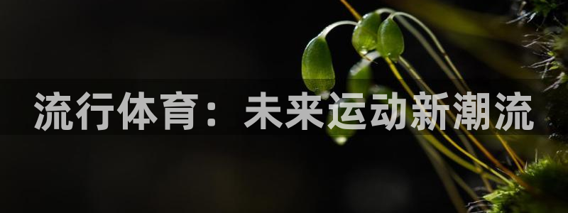 vsport体育官网下载招商电话号码是多少啊：流行体