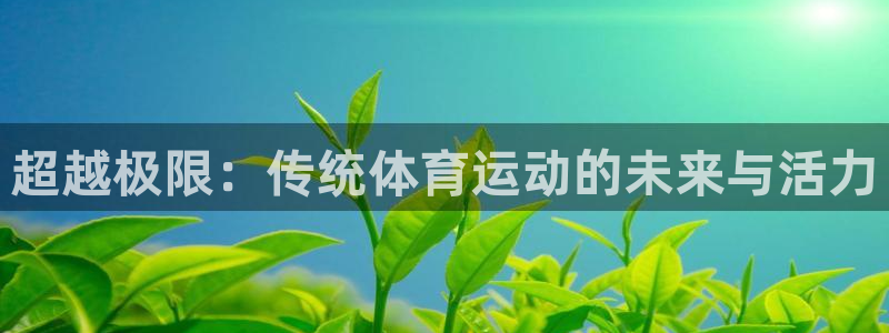 vsport体育官网下载招商电话：超越极限：传统体育运动的未