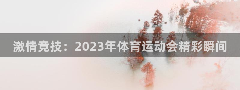 vsport体育官方正版app五金厂：激情竞技：2023年体