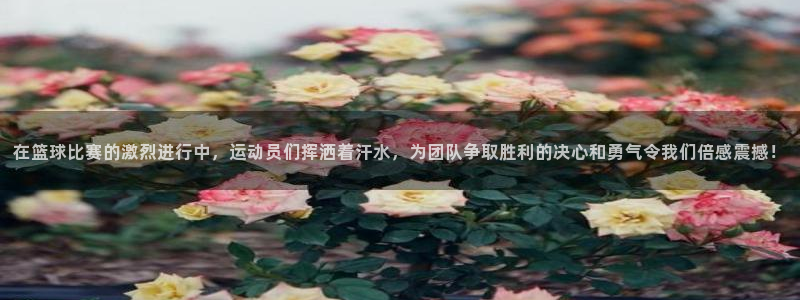 vsport体育官方正版app娱乐40996：在篮球比赛的激